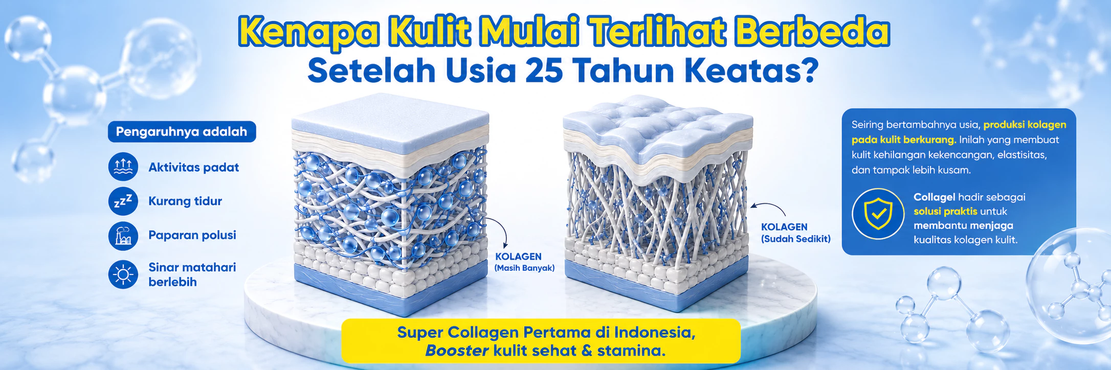 collagelindonesia